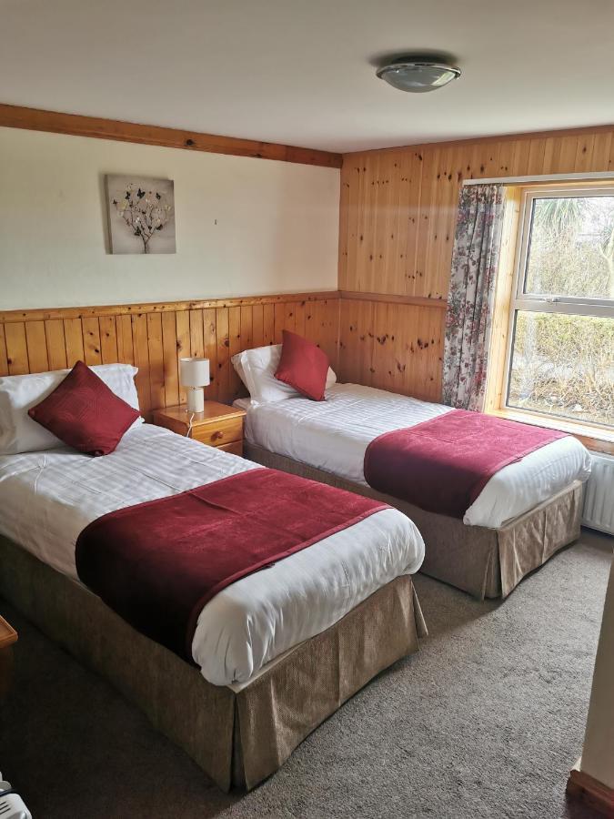 The Olde Castle B&B 伦维尔 外观 照片