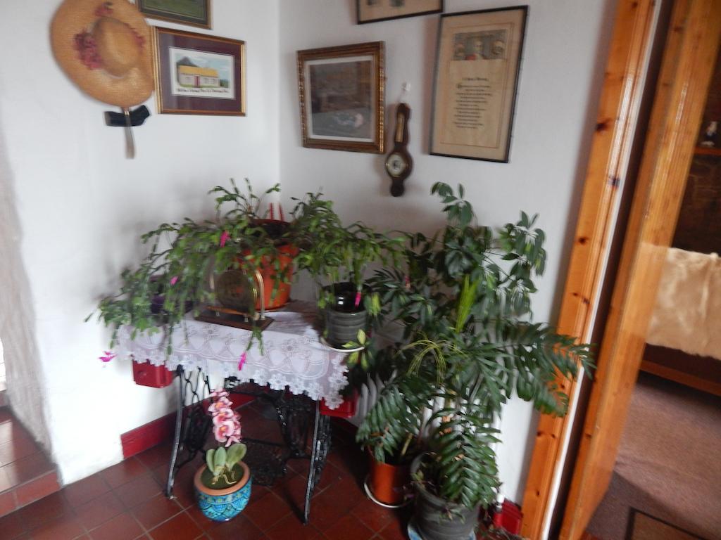 The Olde Castle B&B 伦维尔 外观 照片