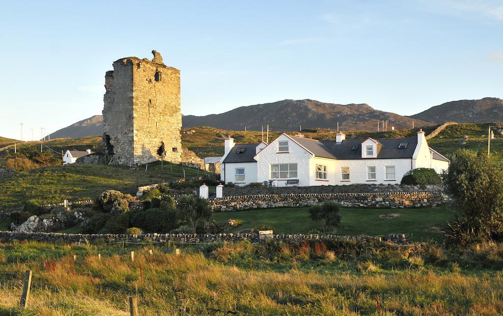 The Olde Castle B&B 伦维尔 外观 照片