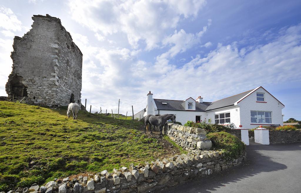 The Olde Castle B&B 伦维尔 外观 照片